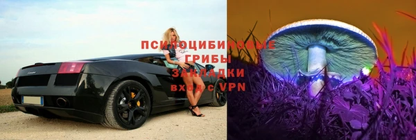 сатива Осинники