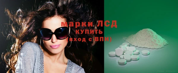 сатива Осинники