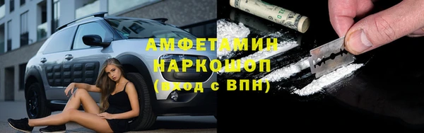 сатива Осинники