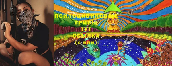 сатива Осинники