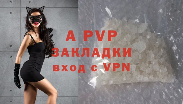 сатива Осинники
