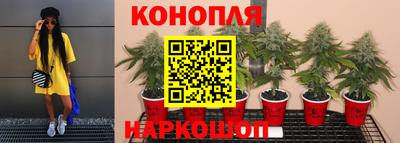 тгк Ипатово