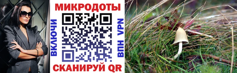 Галлюциногенные грибы прущие грибы сколько стоит Кохма