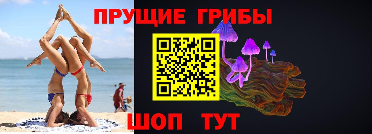 Галлюциногенные грибы MAGIC MUSHROOMS  как найти   Кохма  Вход с VPN 